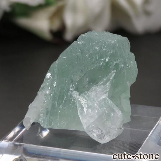  ץ͡ ꡼󥢥ݥե饤ȡƥХȤθ No.29μ̿1 cute stone