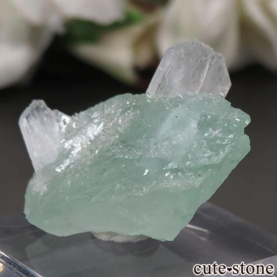  ץ͡ ꡼󥢥ݥե饤ȡƥХȤθ No.30μ̿1 cute stone