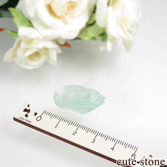  ץ͡ ꡼󥢥ݥե饤ȡƥХȤθ No.30μ̿2 cute stone