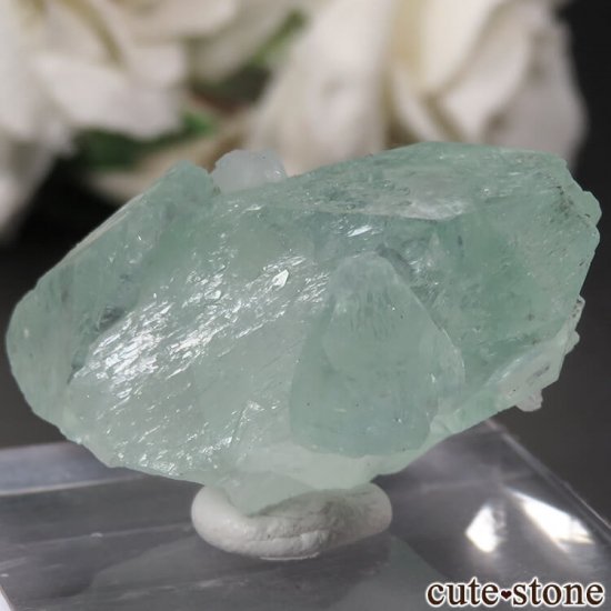  ץ͡ ꡼󥢥ݥե饤ȡƥХȤθ No.32μ̿1 cute stone