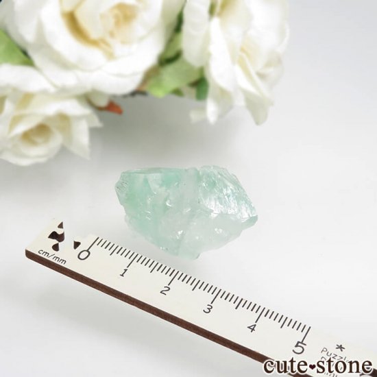  ץ͡ ꡼󥢥ݥե饤ȡƥХȤθ No.32μ̿3 cute stone