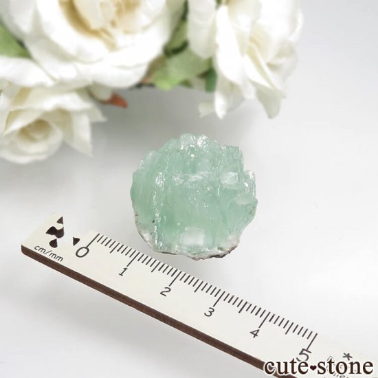  ץ͡ ꡼󥢥ݥե饤ȡƥХȤθ No.33μ̿3 cute stone