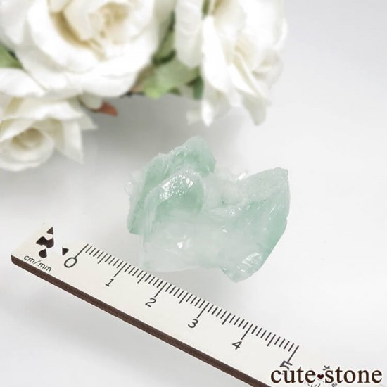  ץ͡ ꡼󥢥ݥե饤ȡƥХȤθ No.34μ̿3 cute stone