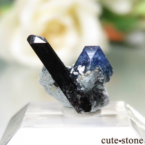 ե˥ California State Gem Mine ٥˥ȥȡͥץʥȤθ No.106μ̿0 cute stone
