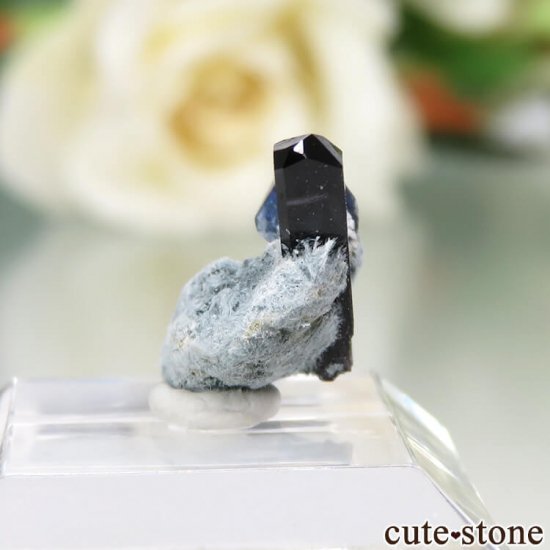 ե˥ California State Gem Mine ٥˥ȥȡͥץʥȤθ No.106μ̿1 cute stone