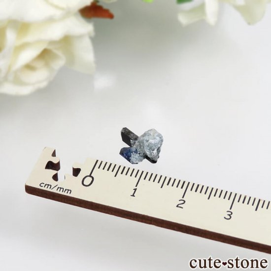 ե˥ California State Gem Mine ٥˥ȥȡͥץʥȤθ No.106μ̿4 cute stone