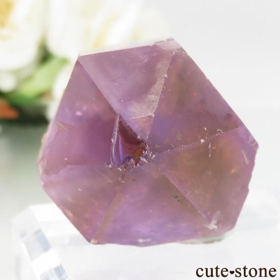 ܥӥ ʥۻ ȥθ No.6μ̿0 cute stone