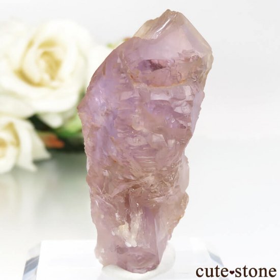 ܥӥ ʥۻ ȥθ No.7μ̿0 cute stone