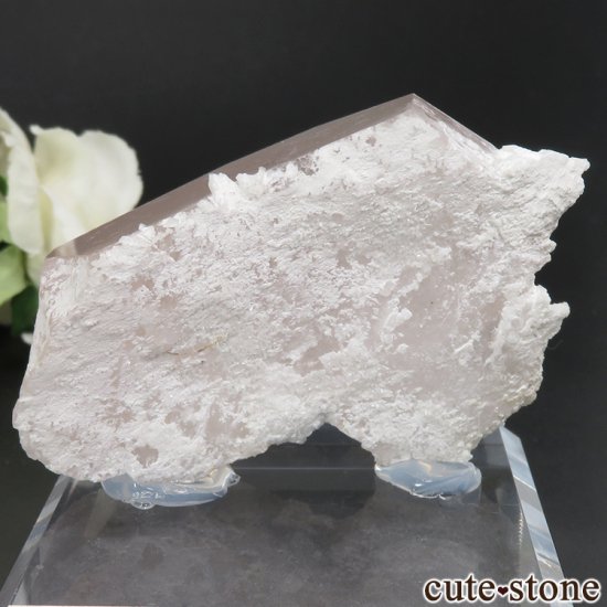 ե˥ Dara-i-Pech 礭ʿ륬ʥȤθФμ̿1 cute stone