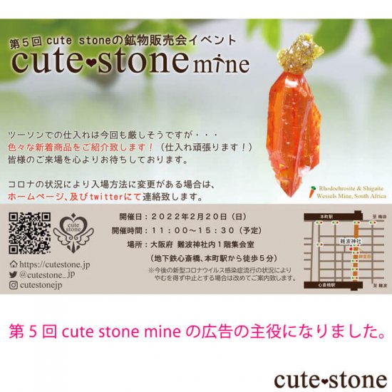 եꥫ Wessels Mine ˤ󤸤ߤʥɥȡȤθФμ̿5 cute stone