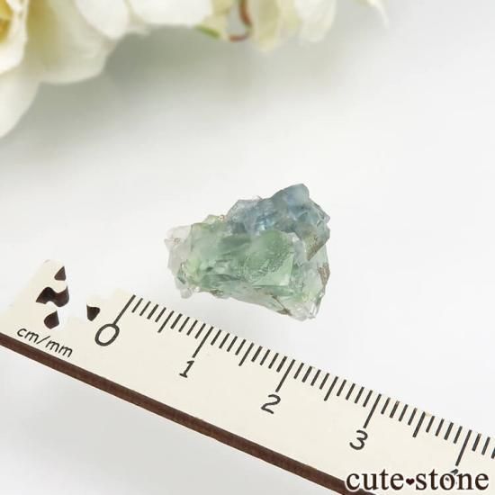 ڥ Gloria Mine ꡼ե饤ȡĤθ No.5μ̿1 cute stone