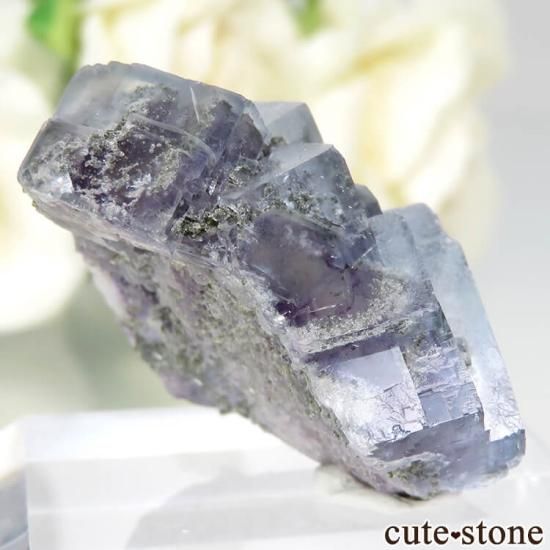 䥪󥷥 ե饤Ȥθ No.60μ̿0 cute stone