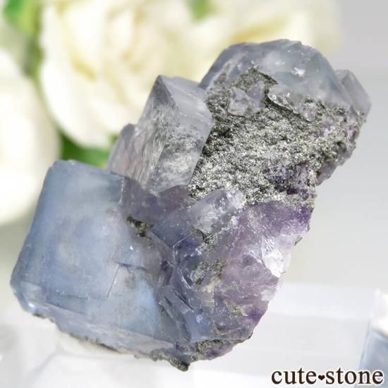 䥪󥷥 ե饤Ȥθ No.60μ̿1 cute stone