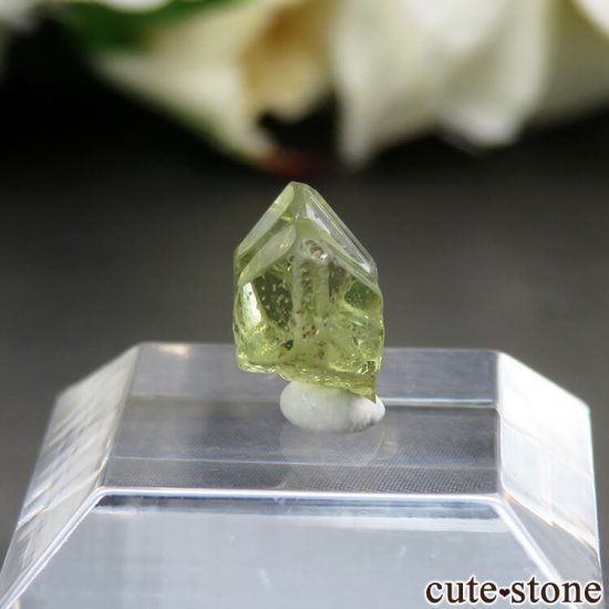  Badalkumbura ꥽٥θ No.1μ̿0 cute stone