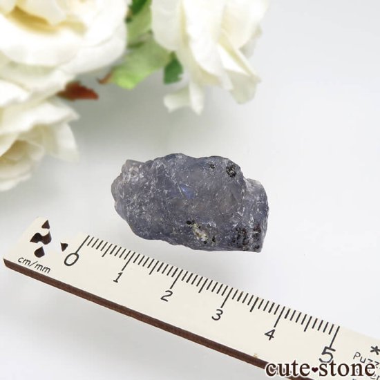  Bhubaneswar 饤Ȥθ No.1μ̿1 cute stone