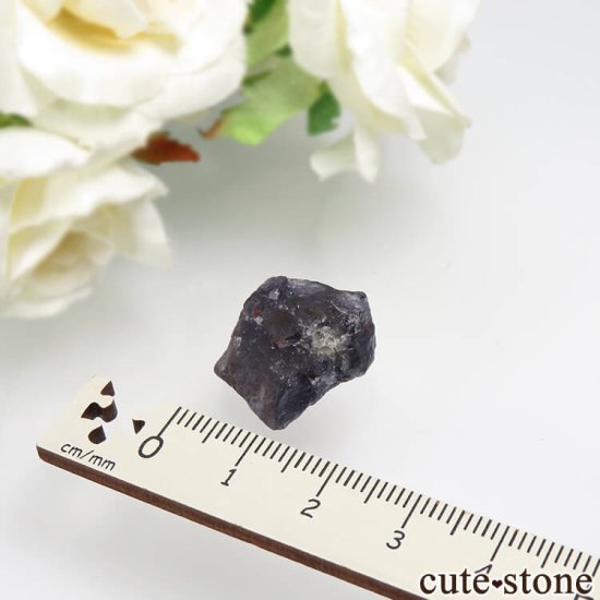  Bhubaneswar 饤Ȥθ No.4μ̿1 cute stone