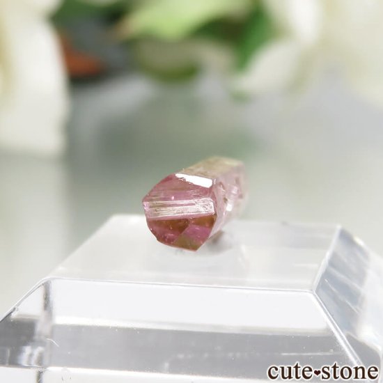 ե˥ Dara-i-Pech ȥޥ No.12μ̿1 cute stone