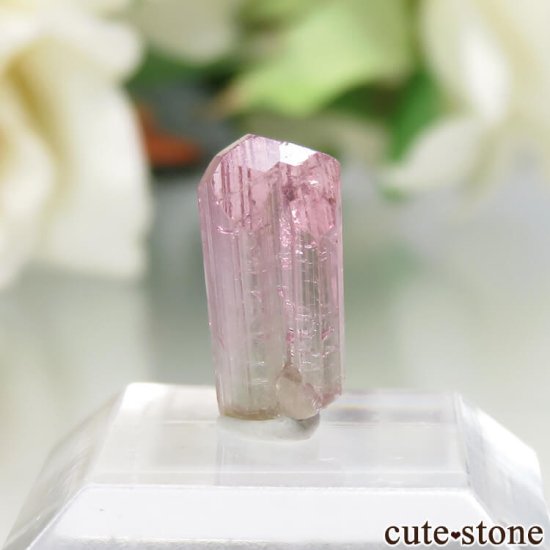 ե˥ Dara-i-Pech Х顼ȥޥ No.13μ̿0 cute stone