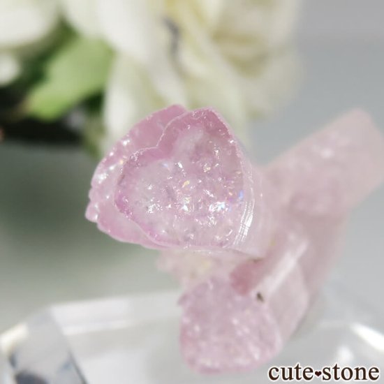 ե˥ Nuristan ԥ󥯥ȥޥθ No.1μ̿3 cute stone