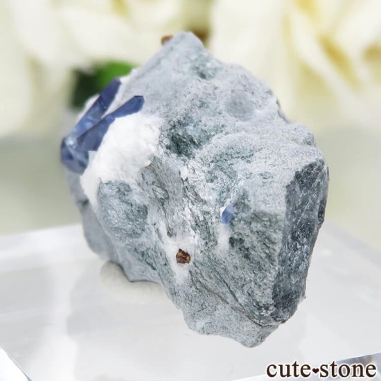 ե˥ California State Gem Mine ٥˥ȥȡ祢ʥȤθ No.107μ̿2 cute stone