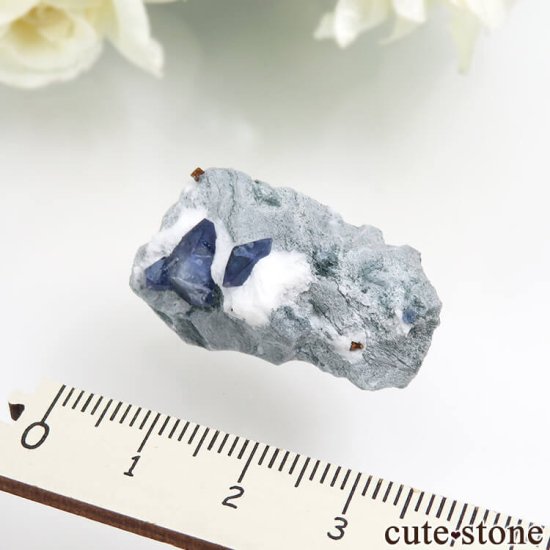 ե˥ California State Gem Mine ٥˥ȥȡ祢ʥȤθ No.107μ̿4 cute stone