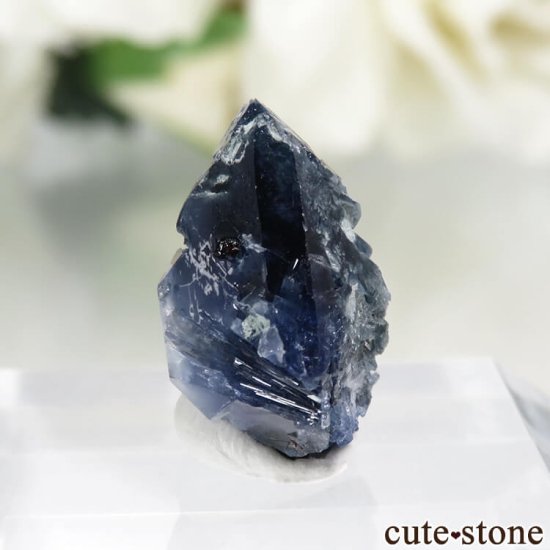 ե˥ California State Gem Mine ٥˥ȥȡͥץʥȤθ No.108μ̿0 cute stone