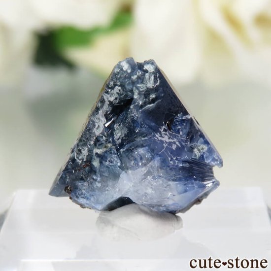 ե˥ California State Gem Mine ٥˥ȥȡͥץʥȤθ No.108μ̿1 cute stone