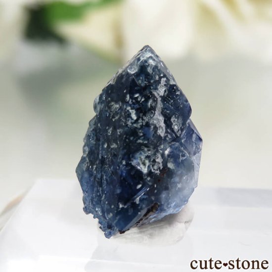 ե˥ California State Gem Mine ٥˥ȥȡͥץʥȤθ No.108μ̿2 cute stone