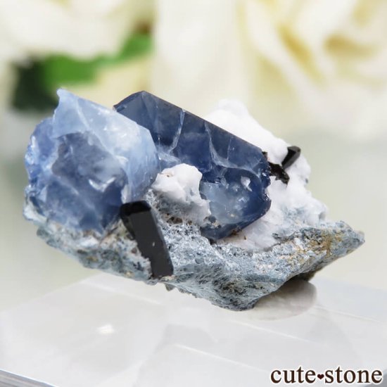 ե˥ California State Gem Mine ٥˥ȥȡͥץʥȤθ No.109μ̿0 cute stone