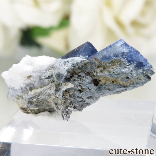 ե˥ California State Gem Mine ٥˥ȥȡͥץʥȤθ No.109μ̿1 cute stone