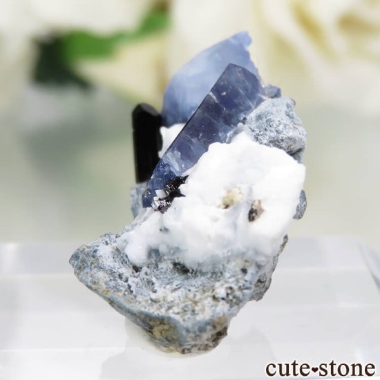 ե˥ California State Gem Mine ٥˥ȥȡͥץʥȤθ No.109μ̿2 cute stone