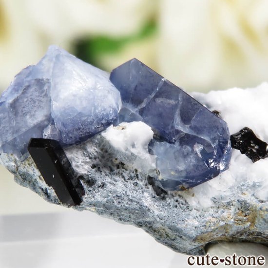 ե˥ California State Gem Mine ٥˥ȥȡͥץʥȤθ No.109μ̿3 cute stone