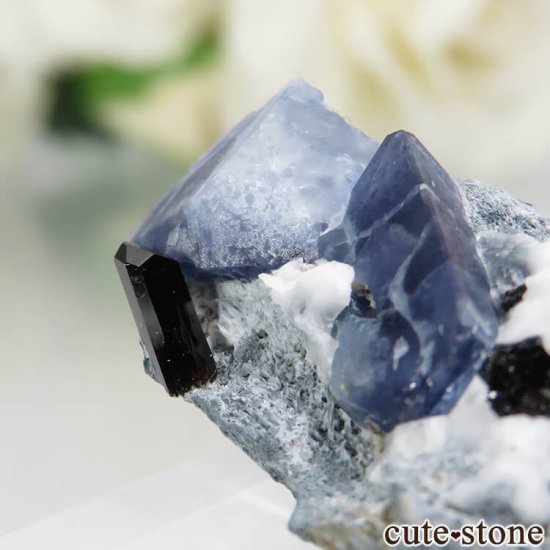 ե˥ California State Gem Mine ٥˥ȥȡͥץʥȤθ No.109μ̿4 cute stone