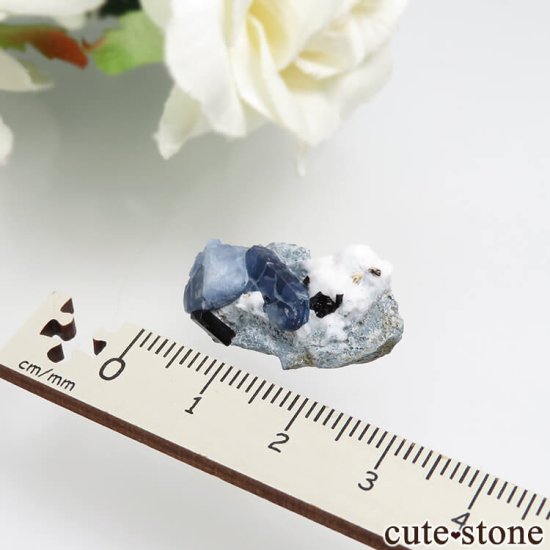 ե˥ California State Gem Mine ٥˥ȥȡͥץʥȤθ No.109μ̿5 cute stone