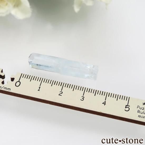 ѥ Shigar ޥθ No.21μ̿3 cute stone