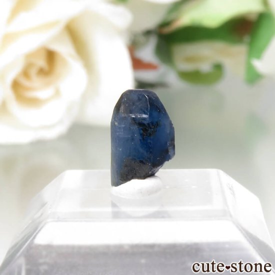 ե˥ Хե㡼 եʥȸ No.6μ̿0 cute stone