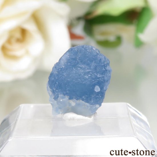 ե˥ Хե㡼 եʥȸ No.7μ̿0 cute stone