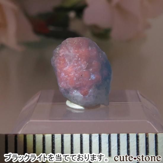 ե˥ Хե㡼 եʥȸ No.7μ̿1 cute stone