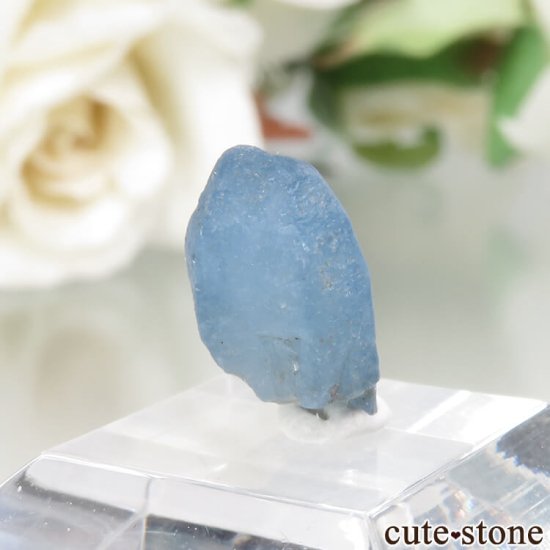 ե˥ Хե㡼 եʥȸ No.8μ̿0 cute stone
