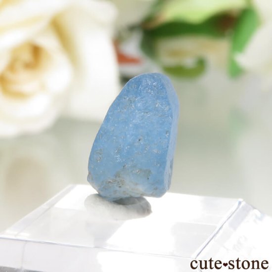 ե˥ Хե㡼 եʥȸ No.8μ̿1 cute stone