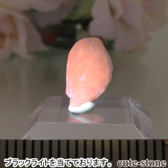 ե˥ Хե㡼 եʥȸ No.8μ̿2 cute stone