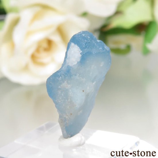 ե˥ Хե㡼 եʥȸ No.9μ̿1 cute stone