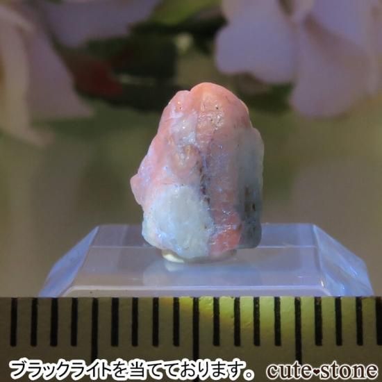 ե˥ Хե㡼 եʥȸ No.10μ̿2 cute stone