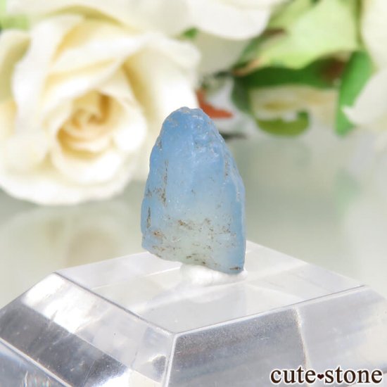 ե˥ Хե㡼 եʥȸ No.11μ̿0 cute stone