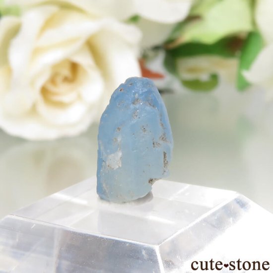 ե˥ Хե㡼 եʥȸ No.11μ̿1 cute stone