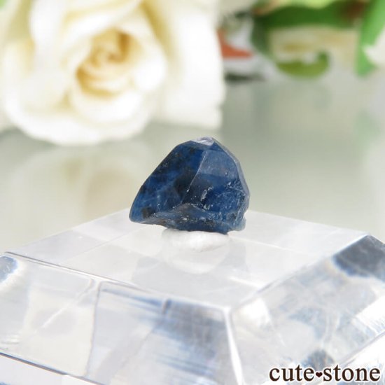 ե˥ Хե㡼 եʥȸ No.13μ̿0 cute stone