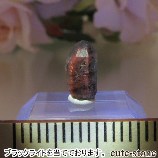 ե˥ Хե㡼 եʥȸ No.14μ̿1 cute stone