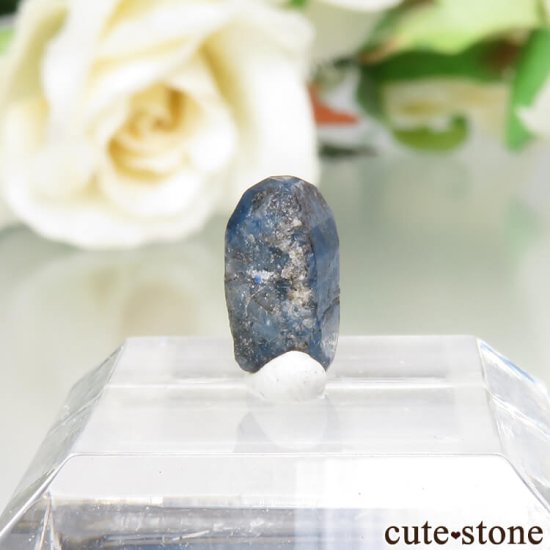 ե˥ Хե㡼 եʥȸ No.15μ̿0 cute stone