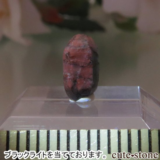 ե˥ Хե㡼 եʥȸ No.15μ̿1 cute stone