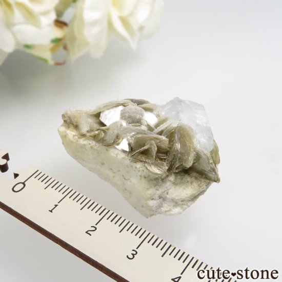 ѥ Chumar Bakhoor ޥ⥹ХȤη뾽ʸСNo.10μ̿2 cute stone